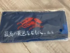 勝利のハチマキ