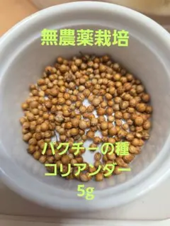 ○タイコリアンダーのルート•根•生100g•無農薬รากผักชีラックパクチー
