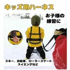 Item thumbnail for item c97245aa-26ac-4e93-b72a-64dfc4db902c