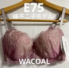 2025年最新】峰不二子×AMPHIの人気アイテム - メルカリ