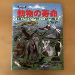 Item thumbnail for item b6eeb910-55df-41c0-be9c-24aa3c10f7f1