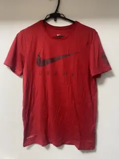 浦和レッズ　レディア　ファミリー　総柄　Tシャツ　Lサイズ　非売品 REX CLUB】ポイント交換 新アイテム『Tシャツ(総柄レディア