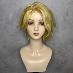 【No.1045】サンプル品　ウィッグオーダー受付中！