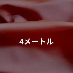 はぎれ　裏地　海老茶