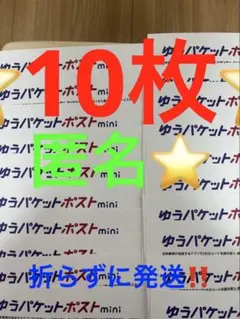 ゆうパケットポストmini 専用封筒 10枚セットその134
