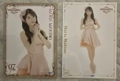 インコ様 リクエスト 2点 まとめ商品