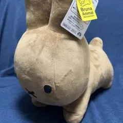 Item thumbnail for item 85a6a786-048e-4695-b7e9-bbe5baa4e671