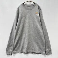 ザ ノースフェイス/ロングスリーブ フラワーロゴTシャツ/刺繍/長袖Tシャツ