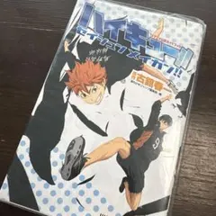 ハイキュー!! セイシュンメイカン!! TVアニメ公式ガイドブック