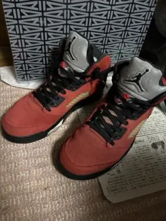 Air Jordan 5 Toro Bravo 27cm