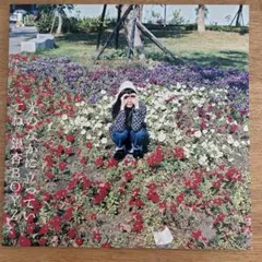 【美品】銀杏BOYZ/光の中に立っていてね/レコードのサムネイル