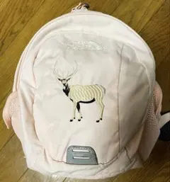 THE NORTH FACE ホームスライス8Lリュック　ベビー　キッズ