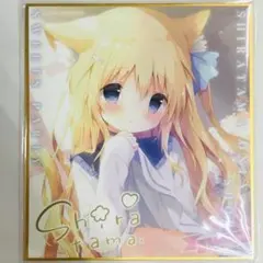 しらたま ミニ色紙 缶バッジ　つらら オンリーショップ しらたま しらたまこ オンリーショップ 特典 ミニ色紙 つらら