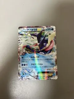 ゲッコウガEX：ポケモンカードゲーム プロモーションカードパック(2014