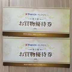 YAMADA HLDGS. お買物優待券 19枚セット