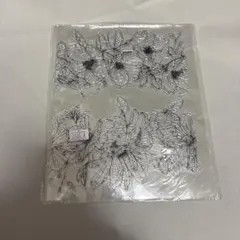 Item thumbnail for item 4d44bd4f-1acb-443c-bdb8-363fdfacf80b