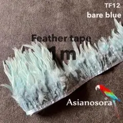 Item thumbnail for item 49abaa11-f59f-4fc5-b5ab-455b3554ca73