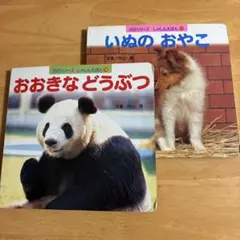 Item thumbnail for item 505a754d-8ce4-47e8-bacd-c5ac88240adf