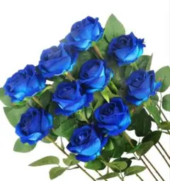 Item thumbnail for item 1e416310-89a5-4453-9e10-2f7d25f9190a