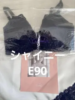 【新品•未使用】D80 シャンデール　夏ブラ　シャイニー シャンデール夏ブラジャー | 補整下着メーカー 株式会社シャンデール