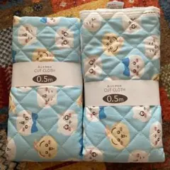 Item thumbnail for item a1506c99-ebf1-43cb-9e6f-5ee0bd1d10bb