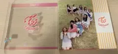 TWICE Taste of Love CD ステッカー付き