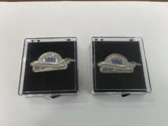 新品未開封】小田急ロマンスカー VSE引退記念グッズ ピンバッジ 限定版