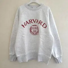 【新品タグ付】ヘビーウェイトスウェットプルオーバーM