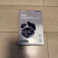 HD-WGT08BK ワイヤレスイヤホンのサムネイル