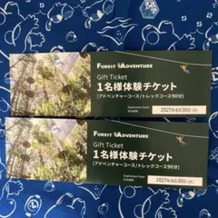 Forest Adventure 1名様体験チケット 2枚セットのサムネイル