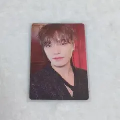 SEVENTEEN シーグリ 2023 ディノトレカ