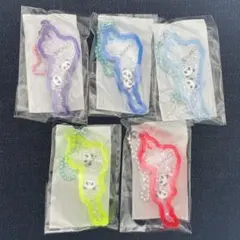 琵琶湖キーホルダー　パンダ　5色セット