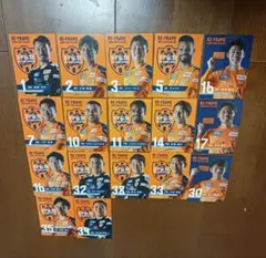 清水エスパルス 2020年後援会配布カード17枚セットのサムネイル