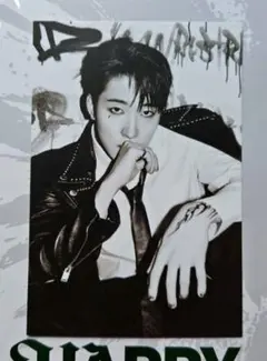 seventeen happy burstday LP盤★ウォヌ★ポストカード