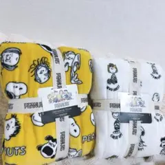 Item thumbnail for item dd379ee6-850d-405f-ac11-64989e1bc3e4