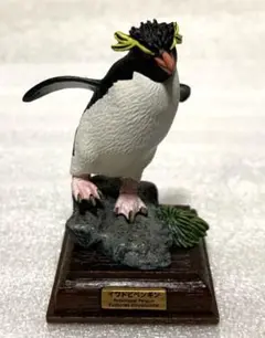 ネイチャーテクニカラー 南極 イワトビペンギン