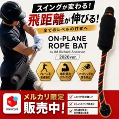 ON-PLANE ROPE BAT オンプレーンロープバット トレーニングバット