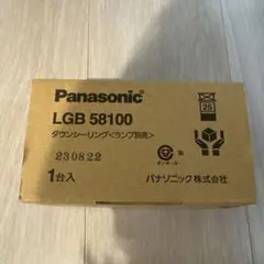 Panasonic ダウンシーリング LGB58100