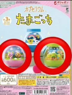 たまごっち　テラリウムガチャガチャ