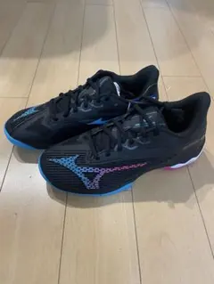 テニスシューズ オムニクレー 25