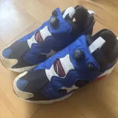 【激安】黄金サイズ Reebok ポンプフューリー