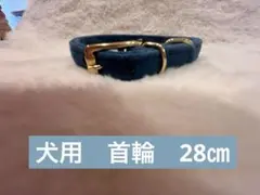 子犬　子猫用　首輪 ブルー スエード調 ゴールド金具　21〜25.5センチのサムネイル