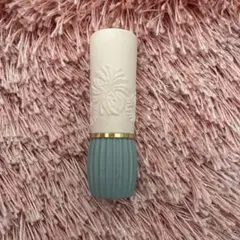 ポール ＆ ジョー ボーテ リップスティック ケース N 01