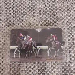 まねき馬倶楽部 第24回ジャパンダートダービー 競馬カード No.2422