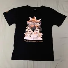 ディズニー ワンマンズドリーム Tシャツ Mサイズ