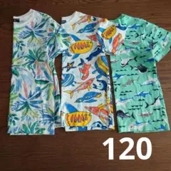 海洋生物デザインTシャツ3枚セット 120cm
