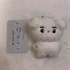 ENHYPEN ソンフン 10cm ぬいぐるみ マスコット