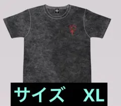 B’z 2026 FYOP＋ ウォッシュTシャツMサイズ新品未使用 B'z 2026 -FYOP＋- ウォッシュTシャツ Mサイズ - メルカリ