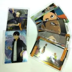 ハイキュー　カード　烏野　日向　影山　菅原　山口　田中　澤村　ウエハース