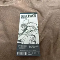 ブルーロック 韓国 アニメイト 特典 冴 士道 特典ホログラムチケット
